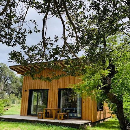 Kingfisher De Los Andes Villa Meliquina Exterior foto